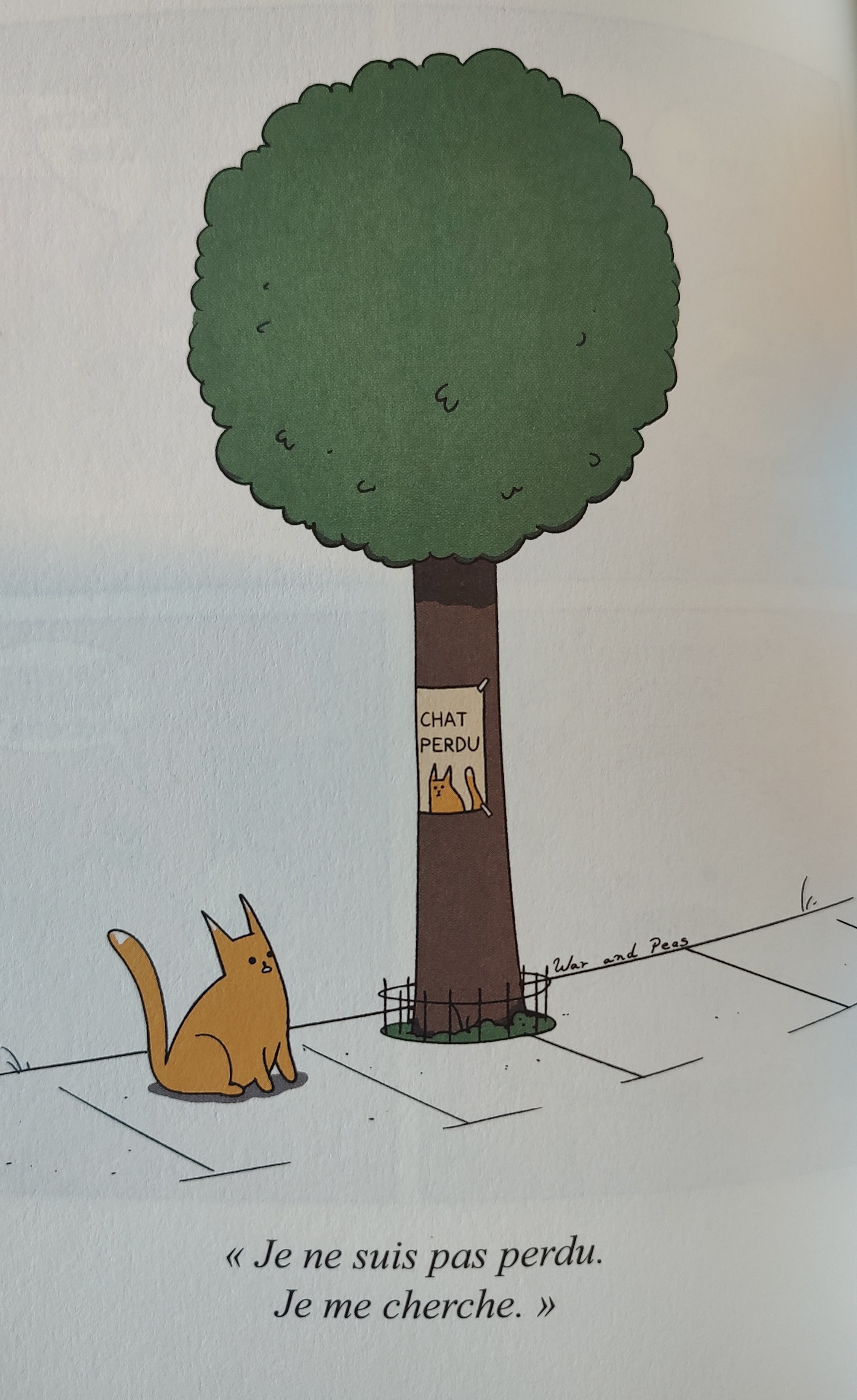 Illustration tirée de Salut La Terre